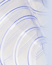 Replacement PVC Strips